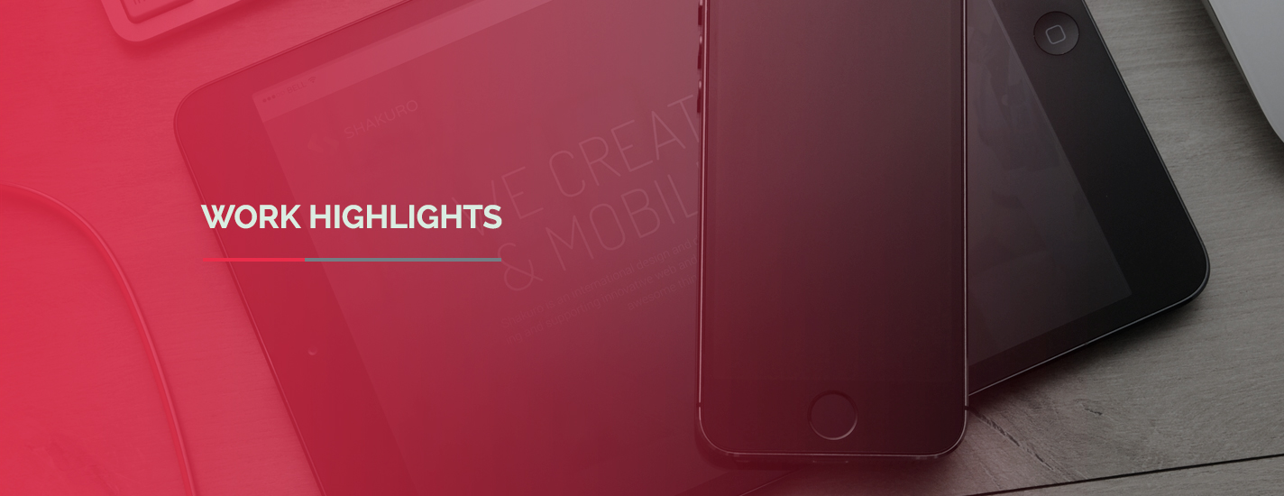 Infonovum-WorkHighlights